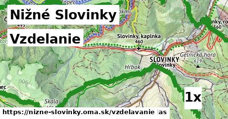 vzdelanie v Nižné Slovinky