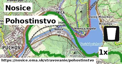 Pohostinstvo, Nosice