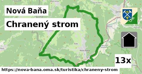 Chranený strom, Nová Baňa