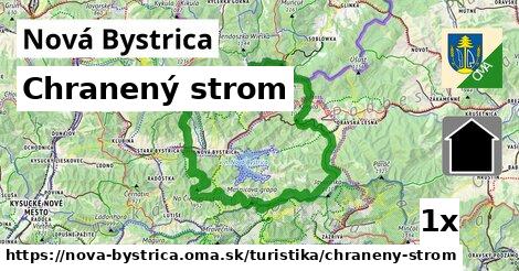 Chranený strom, Nová Bystrica
