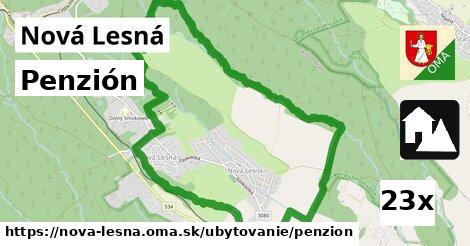 Penzión, Nová Lesná