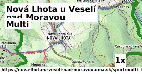 multi v Nová Lhota u Veselí nad Moravou