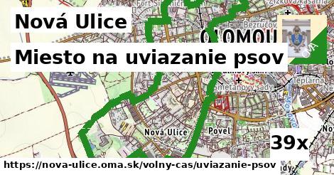 Miesto na uviazanie psov, Nová Ulice