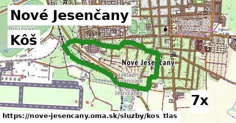 Kôš, Nové Jesenčany