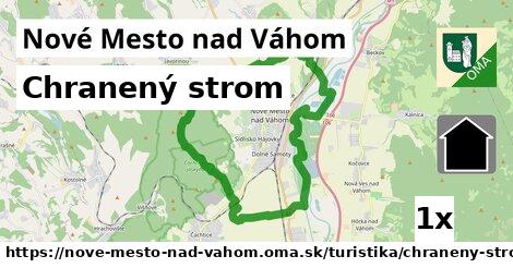 Chranený strom, Nové Mesto nad Váhom