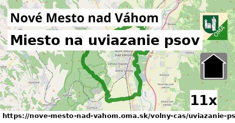 Miesto na uviazanie psov, Nové Mesto nad Váhom