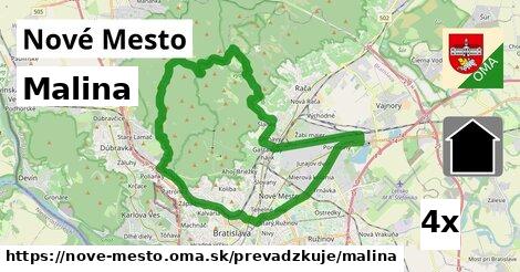 Malina, Nové Mesto