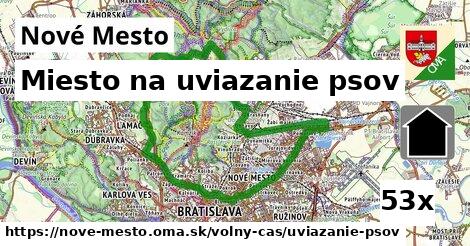 Miesto na uviazanie psov, Nové Mesto