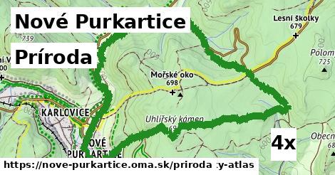 príroda v Nové Purkartice