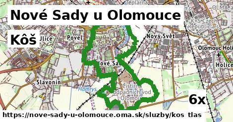 Kôš, Nové Sady u Olomouce