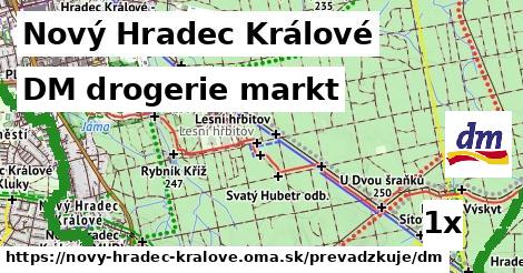 DM drogerie markt, Nový Hradec Králové