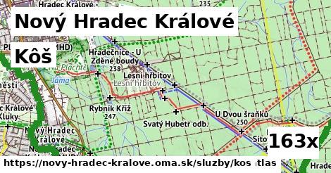Kôš, Nový Hradec Králové