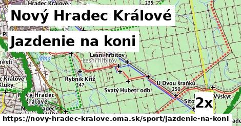 Jazdenie na koni, Nový Hradec Králové