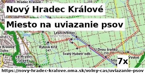 Miesto na uviazanie psov, Nový Hradec Králové