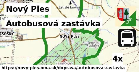 Autobusová zastávka, Nový Ples