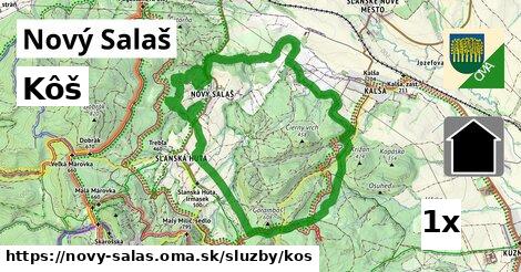 Kôš, Nový Salaš
