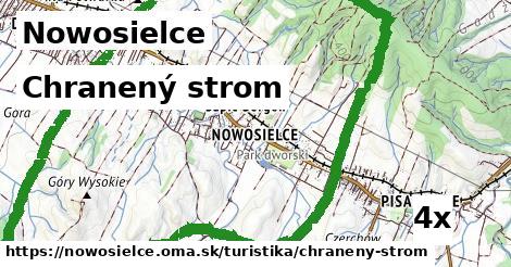 Chranený strom, Nowosielce