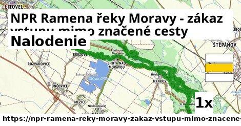 nalodenie v NPR Ramena řeky Moravy - zákaz vstupu mimo značené cesty