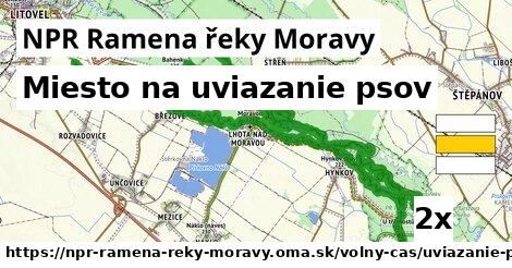 miesto na uviazanie psov v NPR Ramena řeky Moravy