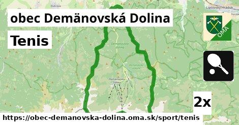 Tenis, obec Demänovská Dolina