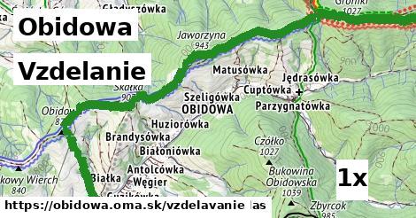 vzdelanie v Obidowa