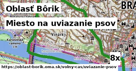 Miesto na uviazanie psov, Oblasť Bôrik