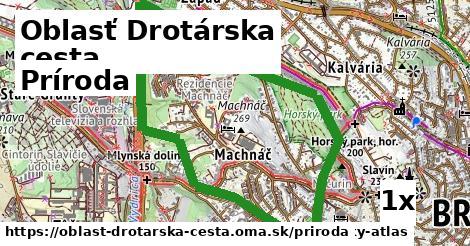 príroda v Oblasť Drotárska cesta