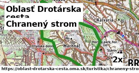 Chranený strom, Oblasť Drotárska cesta