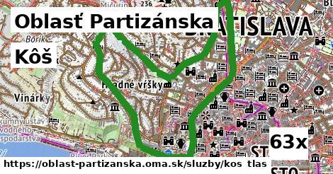 Kôš, Oblasť Partizánska