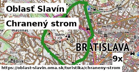 Chranený strom, Oblasť Slavín