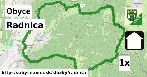 Radnica, Obyce