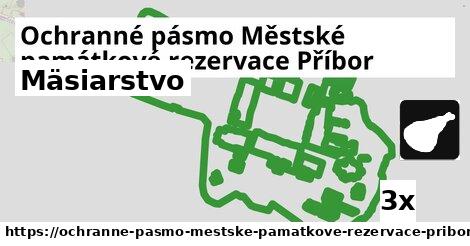 Mäsiarstvo, Ochranné pásmo Městské památkové rezervace Příbor