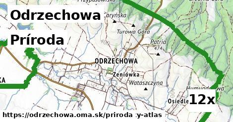 príroda v Odrzechowa