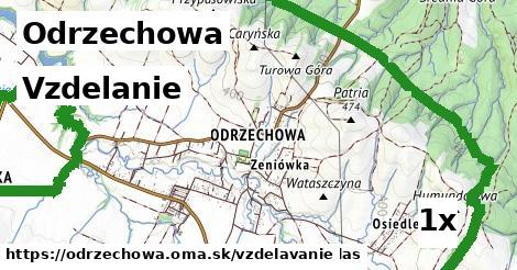 vzdelanie v Odrzechowa