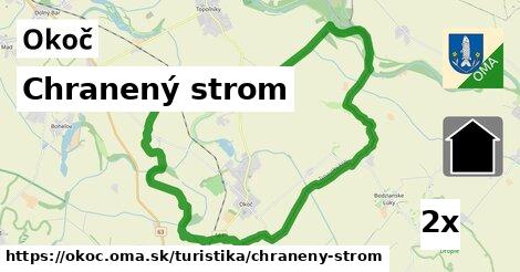 Chranený strom, Okoč