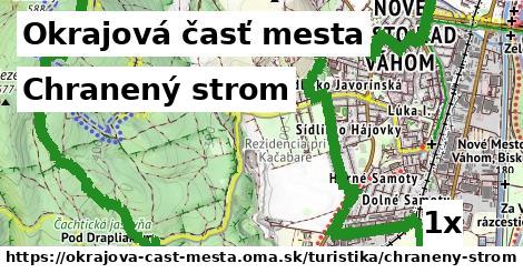 Chranený strom, Okrajová časť mesta