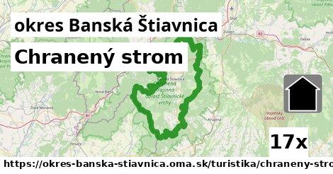 Chranený strom, okres Banská Štiavnica