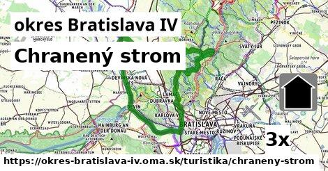 Chranený strom, okres Bratislava IV