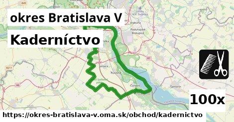 Kaderníctvo, okres Bratislava V