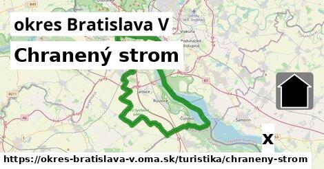 Chranený strom, okres Bratislava V