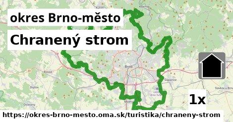 chranený strom v okres Brno-město