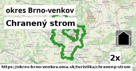 chranený strom v okres Brno-venkov