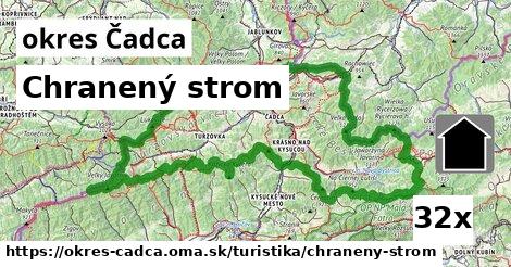chranený strom v okres Čadca