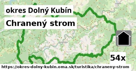 chranený strom v okres Dolný Kubín