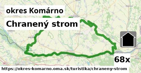 Chranený strom, okres Komárno