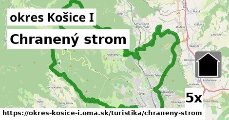 Chranený strom, okres Košice I