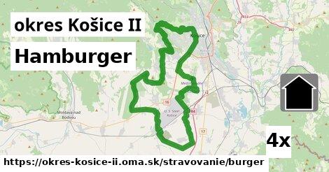 Hamburger, okres Košice II