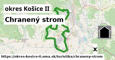 Chranený strom, okres Košice II