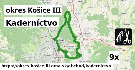 Kaderníctvo, okres Košice III