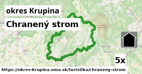 Chranený strom, okres Krupina